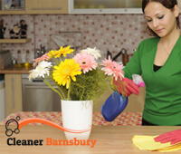 domestic_cleaning1