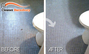 bathroom-cleaning-barnsbury