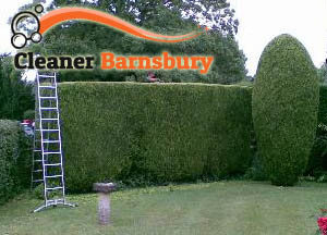 Hedge Maintenance Barnsbury